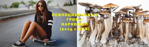 круглые Алзамай