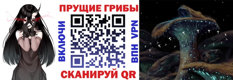Псилоцибиновые грибы Psilocybine cubensis  купить  сайты  Тотьма 